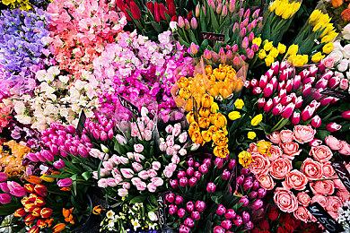 《森林之子》Steam同时在线已超41万